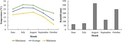Image-Based Machine Learning Characterizes Root Nodule in Soybean Exposed to Silicon
